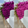 IBIZA | Presets by Maxine Stevens