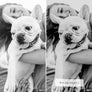 BLACK & WHITE | Presets by Maxine Stevens