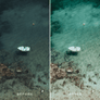 AMALFI | Presets by Maxine Stevens