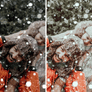 WINTER WONDERLAND | Presets by Maxine Stevens