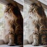 LIGHT & MINIMAL | Presets by Maxine Stevens