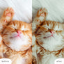 OLIVER'S TWIST | Presets by Maxine Stevens